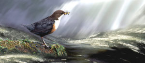 bird_at_waterfall