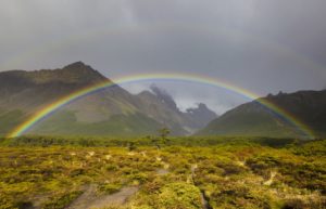 smell-after-rain