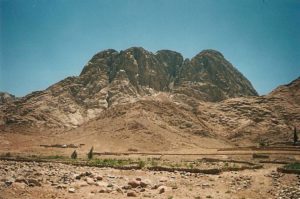 deoviconal-mount-sinai-02