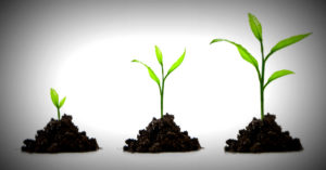 Sequence of a plant growing in dirt, profiled against a white background.